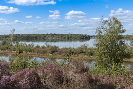 Lake Reindersmeer in De Maasduinen National Park, Limburg, Netherlands