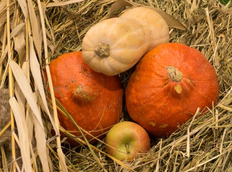 Several pumpkins and an apple lying on a straw