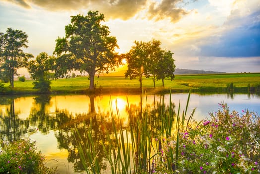 Vivid dramatic sunset reflecting in the pond. Setting sun shines through the trees. Czech Republic