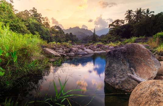 River stone and tree with sky and cloud colorful, View water river tree, Stone river and tree leaf in forest