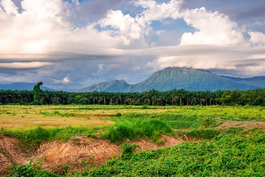 Landscape mountain view with blue sky and white cloud and green grass in evening light