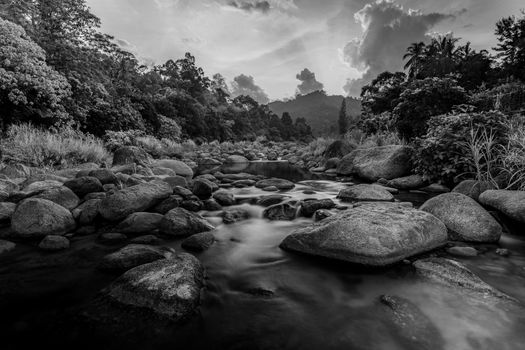 River stone and tree with sky and cloud colorful, View water river tree, Stone river and tree leaf in forest, Black and white and monochrome style