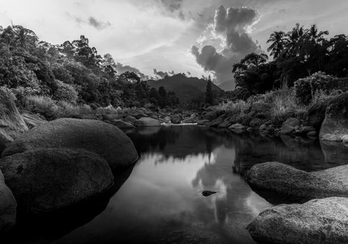 River stone and tree with sky and cloud colorful, View water river tree, Stone river and tree leaf in forest, Black and white and monochrome style