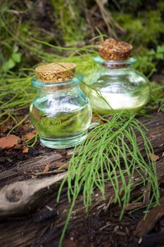 healthy tincture infusion and bunch of horsetail healing herbs. Herbal alternative medicine.