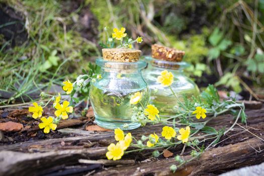 Bottles of healing plants treatment and healthy herbs Ranunculus acris in nature