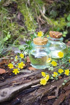 Bottles of essence oil homeopathy globules and healthy Ranunculus acris, vertical image