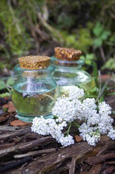 Tincture of yarrow in the bottle closeup on a background of flowers