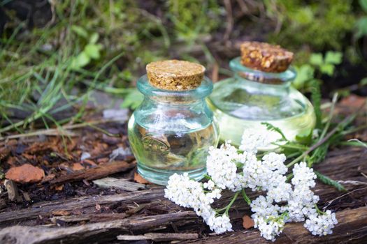 yarrow essential oil in the glass bottles, with fresh yarrow flowers, on the natural surface