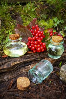 Essence of Viburnum on natural background in a beautiful small glass jars