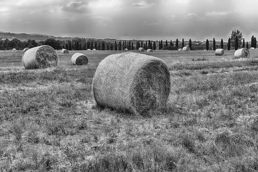 Hay bales on the field after harvest, countryside landscape in Italy