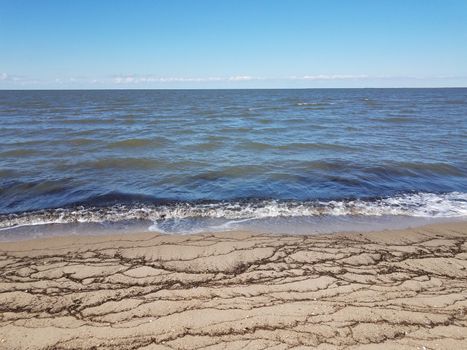 lines of seaweed on the beach with sand and water