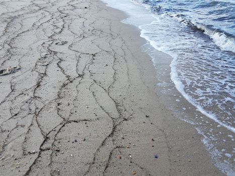 lines of seaweed on the beach with sand and water