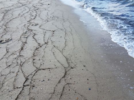 lines of seaweed on the beach with sand and water