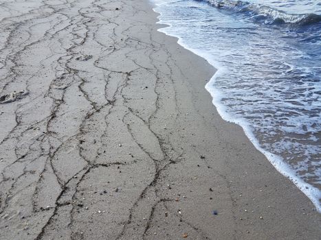 lines of seaweed on the beach with sand and water