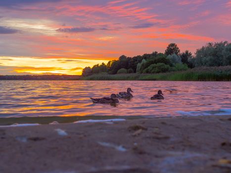 Panoramic view of evening sunset lake with green trees, mist and tranquil reflection. Estonia, Harku. Sunset over lake