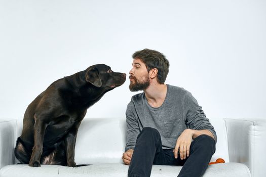Male owner play with the dog on the couch training fun light room friends pet. High quality photo