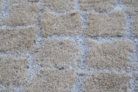 Closeup texture of brick floor. A background of a weathered old exterior brick floor with copy space for text