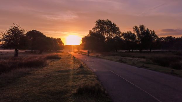 Cyclists riding at sunrise on a foggy morning, through Richmond Park, Surrey, England