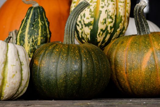 Assortiment of autumn harvested pumpkins in a heap background , Halloween holiday concept