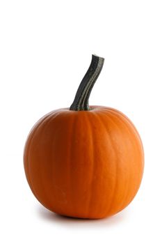 One perfect orange pumpkin closeup isolated on white background