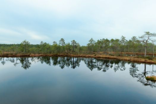 Lake in Viru Raba, Lehemaa National Park, Estonia