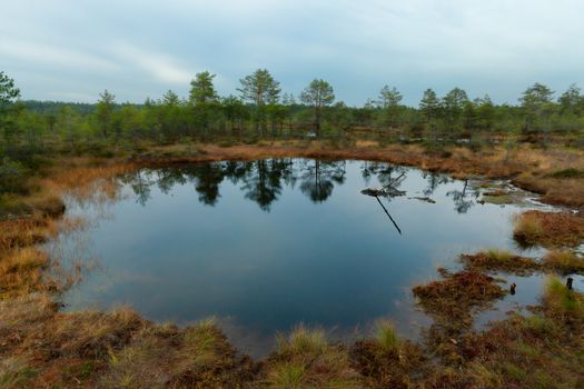 Lake in Viru Raba, Lehemaa National Park, Estonia