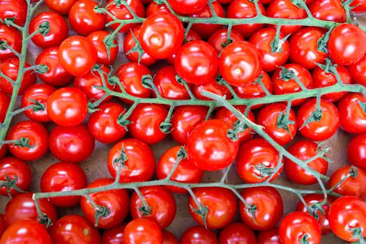 Vine tomatoes for sale at a market