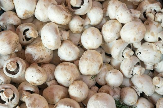 Fresh champignons for sale at a market