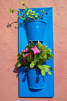 Flower pots on a wall on a greek island