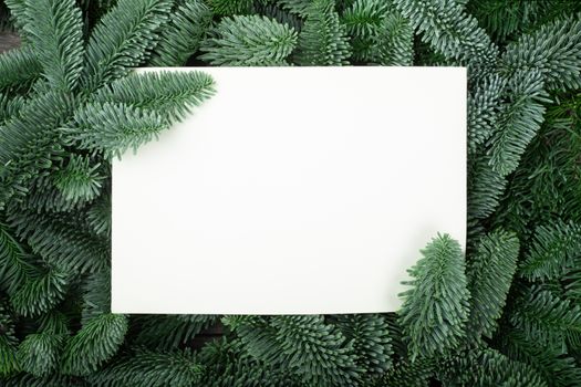 Christmas frame of natural fir tree branches with blank card copy space for text