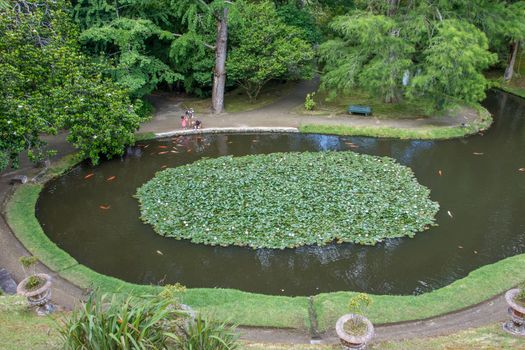 Walk on the Azores archipelago. Discovery of the island of Sao Miguel, Azores. Portugal. Furnas