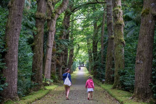 Walk on the Azores archipelago. Discovery of the island of Sao Miguel, Azores. Portugal. Furnas