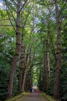 Walk on the Azores archipelago. Discovery of the island of Sao Miguel, Azores. Portugal. Furnas
