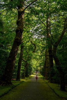 Walk on the Azores archipelago. Discovery of the island of Sao Miguel, Azores. Portugal. Furnas