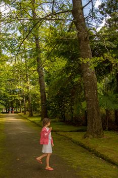 Walk on the Azores archipelago. Discovery of the island of Sao Miguel, Azores. Portugal. Furnas