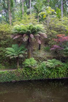 Walk on the Azores archipelago. Discovery of the island of Sao Miguel, Azores. Portugal. Furnas