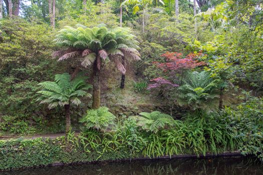 Walk on the Azores archipelago. Discovery of the island of Sao Miguel, Azores. Portugal. Furnas
