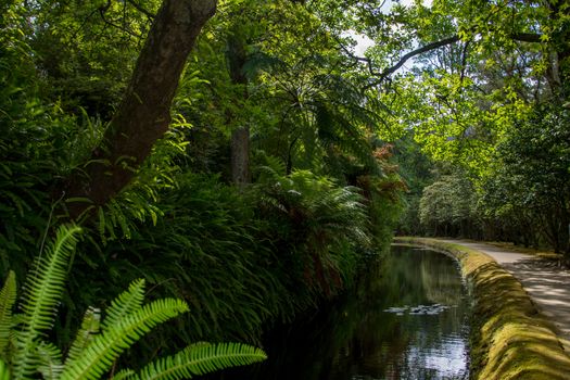 Walk on the Azores archipelago. Discovery of the island of Sao Miguel, Azores. Portugal. Furnas