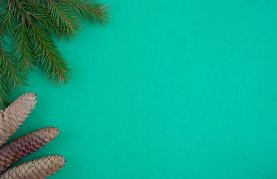 Three pine cones and green fir branches lie on a green background. The concept of the New year and Christmas.