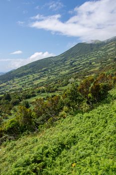 Walk on the Azores archipelago. Discovery of the island of sao jorge, Azores. Portugal , Velas