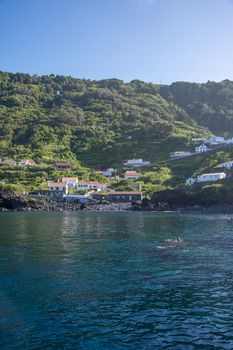 Walk on the Azores archipelago. Discovery of the island of sao jorge, Azores. Portugal , Velas