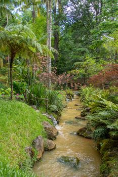 Walk on the Azores archipelago. Discovery of the island of Sao Miguel, Azores. Portugal. Furnas