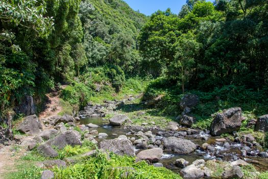 Walk on the Azores archipelago. Discovery of the island of Sao Miguel, Azores. Portugal. Furnas