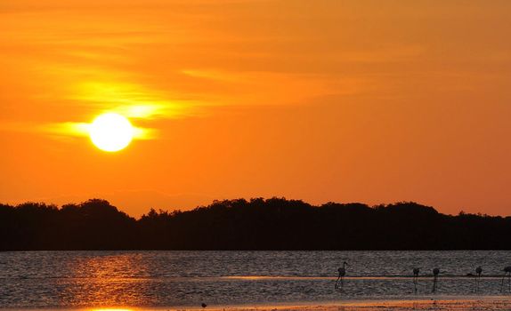 Beautiful pictures of Angola