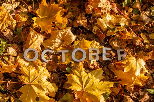 the word october laid with silver metal letters on the ground dry maple leaves.