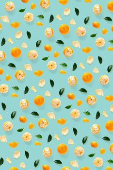 Isolated tangerine citrus collection background with leaves. Whole tangerines or mandarin orange fruits isolated on blue background. mandarine orange background not pattern