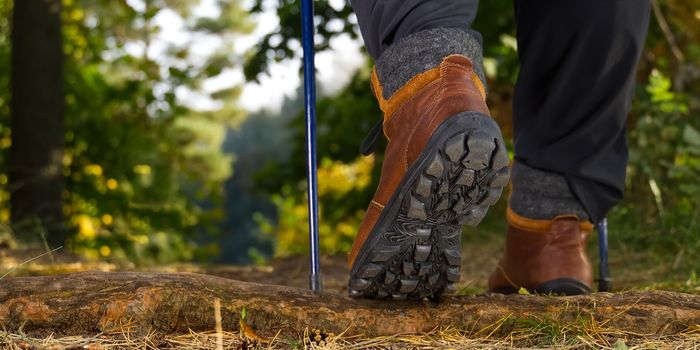 Man hiking in the woods in Autumn pine forest. Men boots walking in the woods on sunny day. hiking concept, outdoor lifestyle. Hiking man with trekking boots on the trai