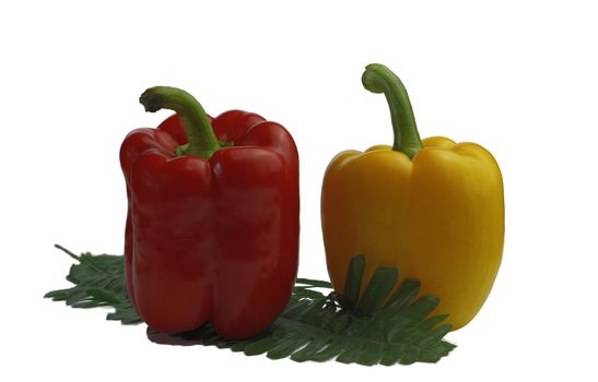 The bright red and yellow bell peppers are prepared as an ingredient for cooking, placed in pairs on a separate white background.