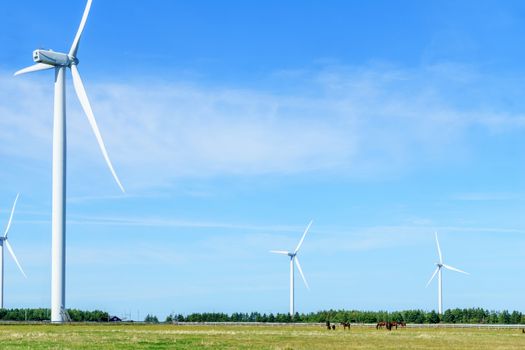 View of wind turbines in the North Cape, Prince Edward Island, Canada