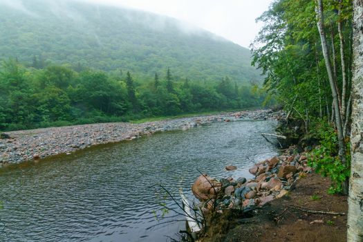 View of the Cheticamp river, in Cape Breton Highlands National Park, Nova Scotia, Canada